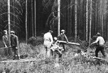 Waldarbeiten