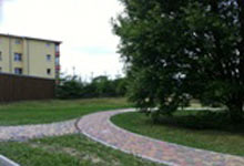 2013 Elim